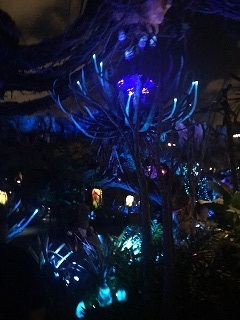 Pandora
